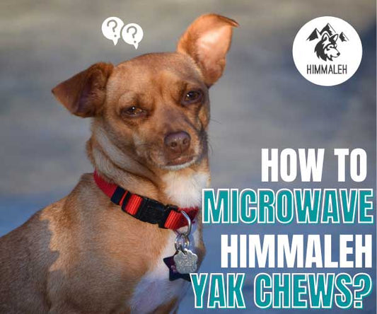 How to Microwave Yak Chew Treats for Dogs?