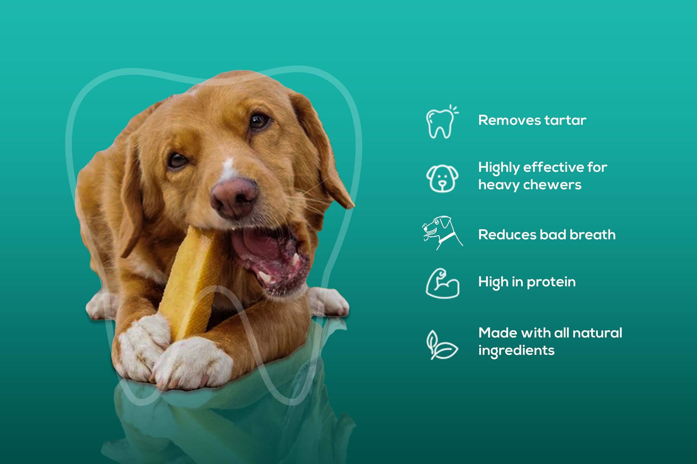 Our Yak milk Dental Dog Treats excellent at removing plaque and tartar and keeping gums strong